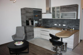 Отель Prater & Center Apartment mit eigener Terrasse, Вена